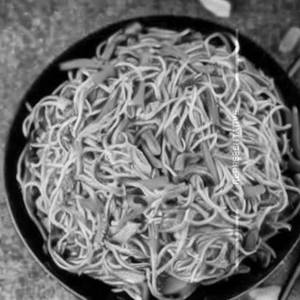 Chicken Hakka Noodles