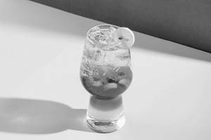 Cranberry Mojito
