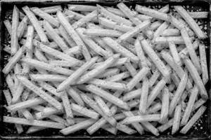 SALTED FRIES