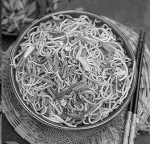 Veg Chowmien Hakka [Full]