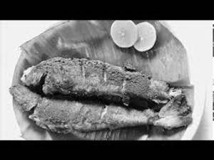 Kane Lady Fish [Tawa Fry]