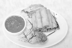 Spring Roll