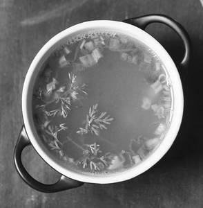 Lemon Coriander