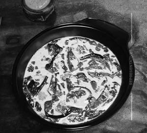 Veg hyderabadi