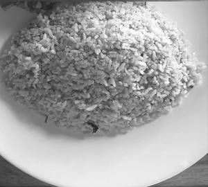 Masala Rice Only (Chicken)