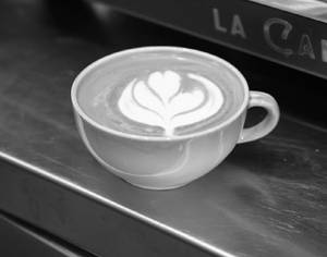 Cappuchino