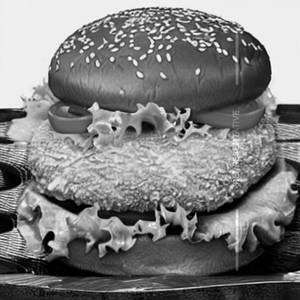 Angriest Chicken Burger