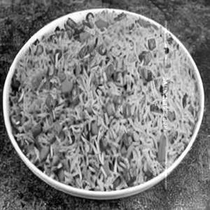 Veg Schezwan Fried Rice