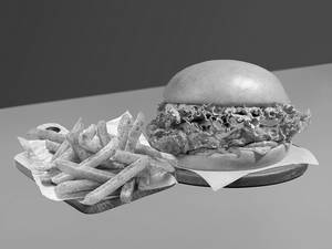 Spicy Fried Chicken Sandburger + 1 Side