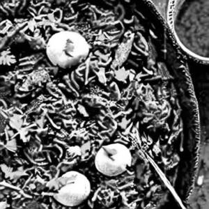 Mutton Chukka Biryani