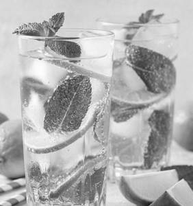 Mint Mojito