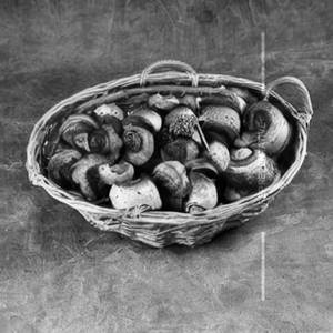Mushroom Basket