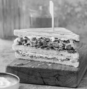 Junglee Sandwich