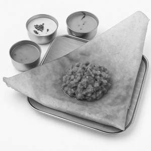 Vada Curry Roast Dosa