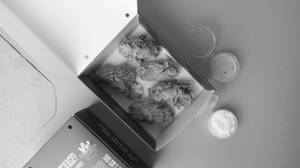 Crispy Chicken Wings-5ps