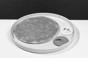 Ghee Podi Sponge Dosa