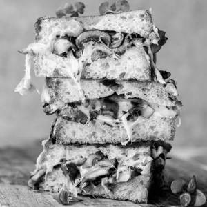Creamy Mushroom Sandwich