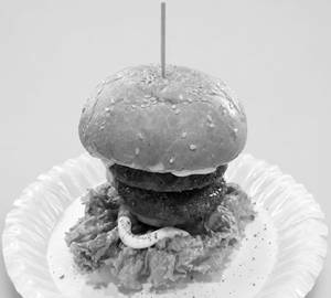 Chicken Patty Burger