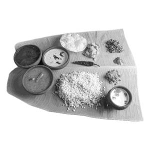Poli Meal