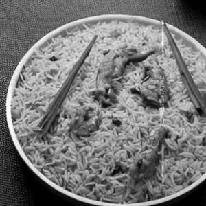 Chicken hong kong rice
