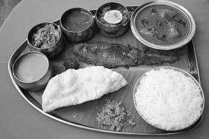 Fish Meal