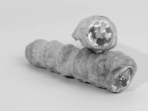 Cream Roll
