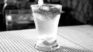 Mint mojito