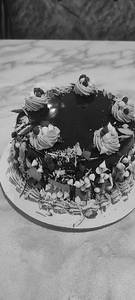 Choco Nuts Cake