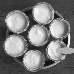 Plain Dahi