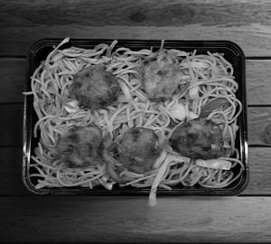 Manchurian Noodles