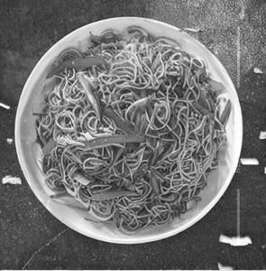 Pan Fried Noodles Mix