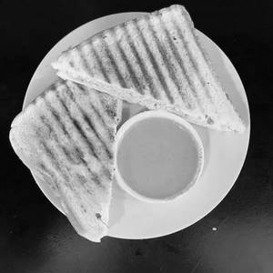 Veg Grill Sandwich