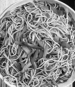 Egg Hakka Noodles