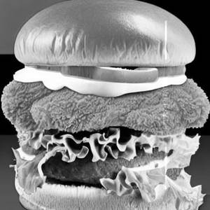 Chicken Kids Burger