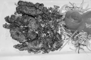 Chicken Salt N Pepper