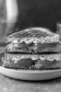 Tomato & Cheese Grilled Sandwich