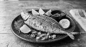Bangada (mackerel)