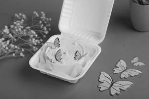 Chocolate Belgium Butterfly Themed Bento Cake