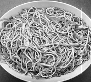 Veg Noodles