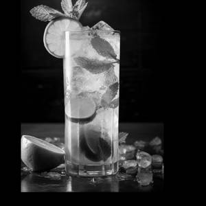 Mint Lime Mojito