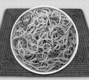 Veg Chowmein (Regular)