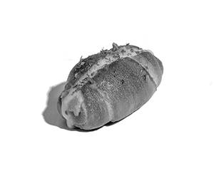 Korean Bun