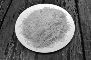 Plain Rice