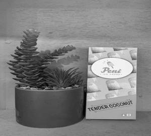 Tender coconut [500 ml] ice candy