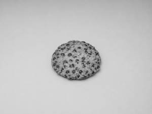 Almond Chocochip (Single Piece)
