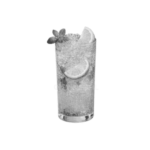 Virgin Mojito (300ml)