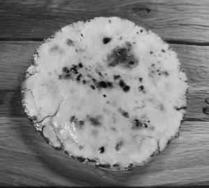 Special kadak kathiyawadi biscuit bhakri