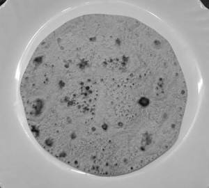 Normal roti