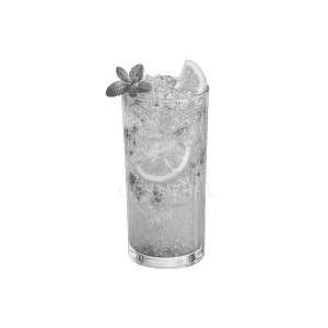 Orange Mojito (300ml)