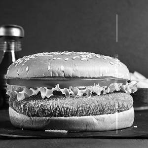 Special Paneer Cheese Burger 